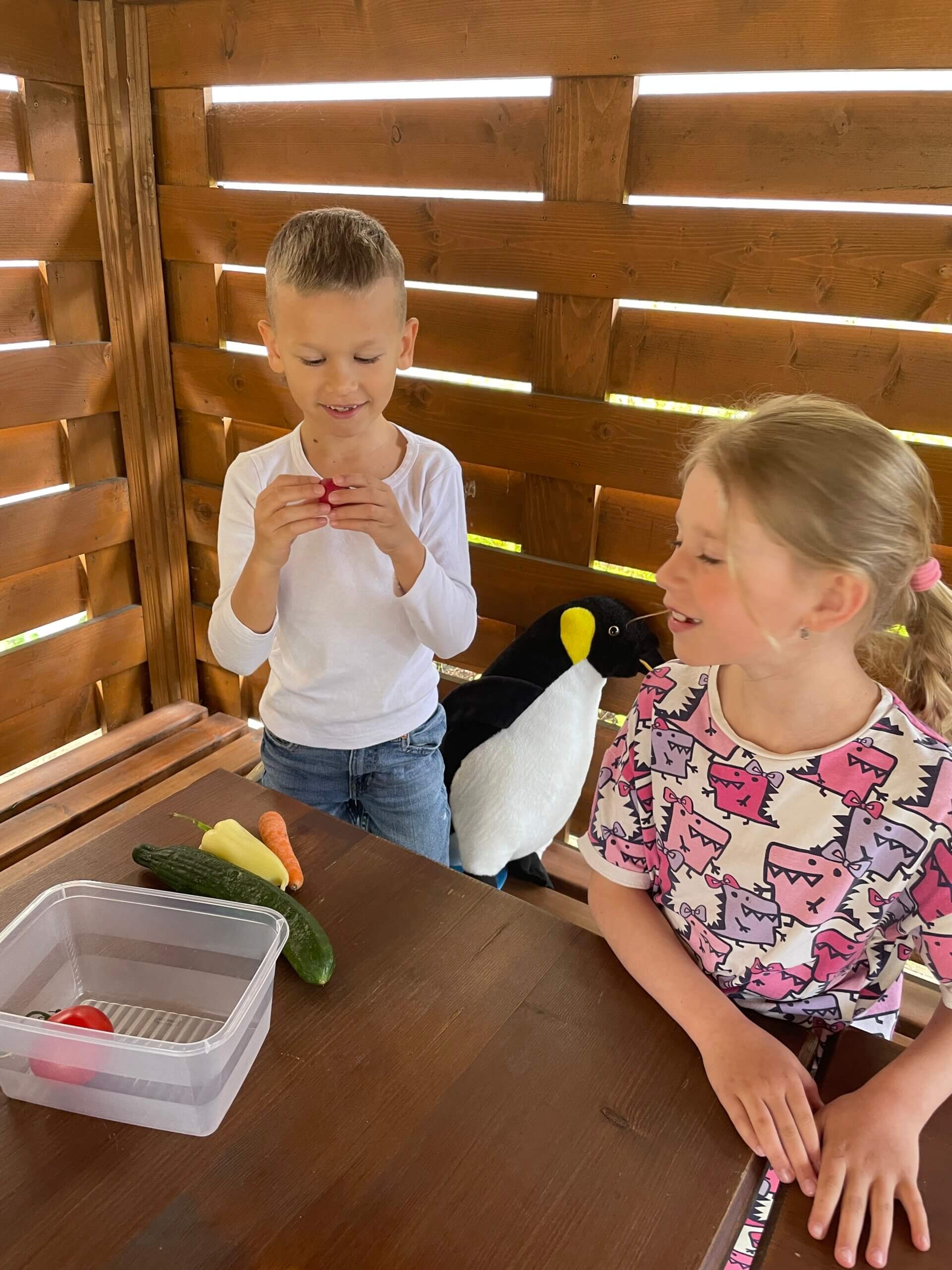 Linguin jazyková škola